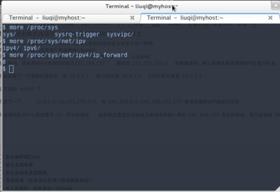 Linux 的转发功能默认是关闭的