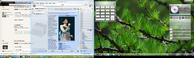 linux10.png