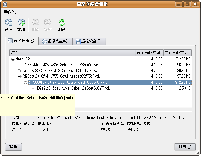 Screenshot-虚拟存储管理器.png