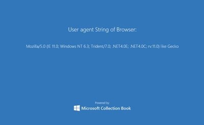 neowin-ie11-lead.jpg