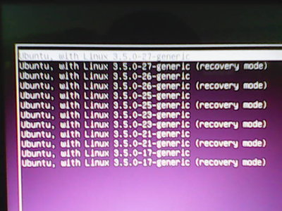 这是我确定了Advanced options for ubuntu都进入的界面