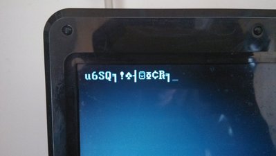 启动项选win7后出现的乱码截图