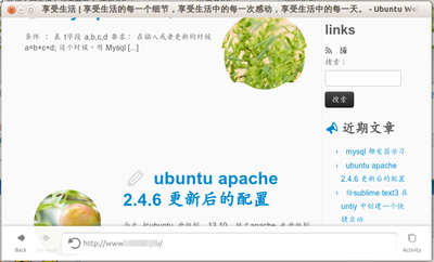 把鼠标先移动到最底下 然后网上托 就会把 地址栏拉出来