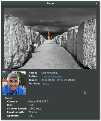 fivoo-demo.png