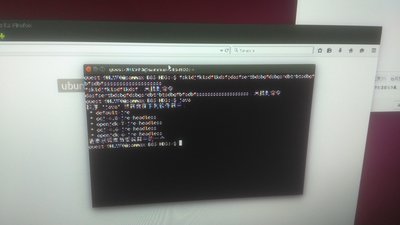 完全看不清楚。。模模糊糊的像打了马赛克
