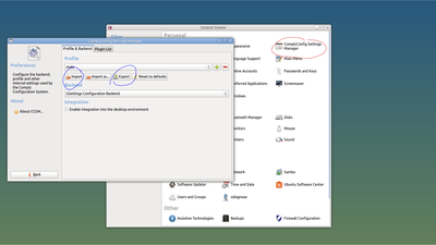 compiz import/export