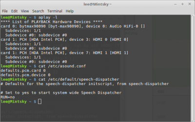 nosoundTerminal.png