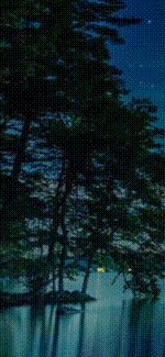 祝平安.gif