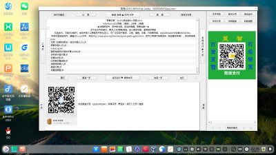 笈智中医青龙版运行在电脑版 深度v20.9系统