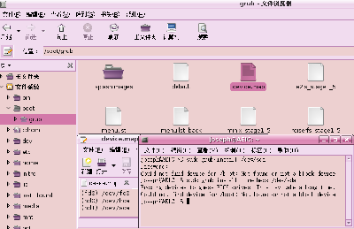 grub-problem.png