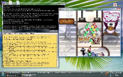 windows vista + xming + colinux + debian lenny