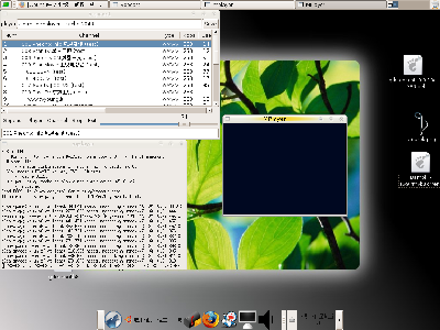 gtk-sopcast截图
