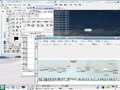用GIMP代替photoshop，gnumeric代替excel，一样工作。