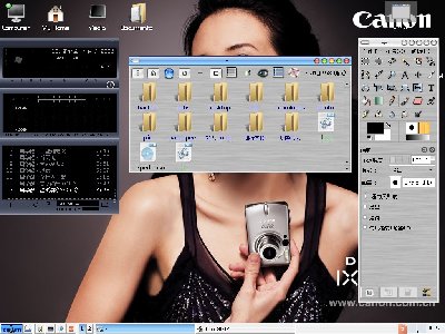Screenshot_Icewm2.jpg