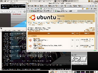 Swiftfox——優化好的Firefox版本，聽音樂——audacious，BT——rtorrent