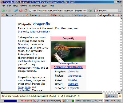 dragonfly.PNG