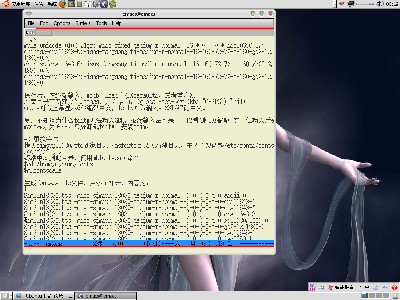 中文输入