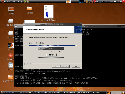 runtime error 216