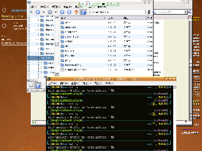 200809187.1.18vim.png