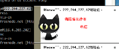shot200810011601.png