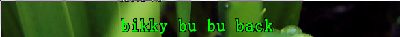 scrot-05.png