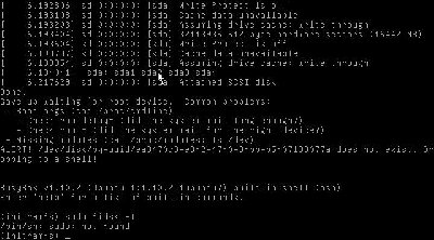 执行sudo fdisk -l