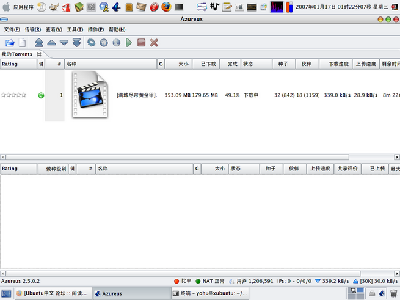 2007-01-17-012208_1024x768_scrot.png