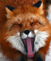 原贴出自本论坛三八狐狸 adagio地址如下 ：<br />http://forum.ubuntu.org.cn/viewtopic.php?f=48&amp;t=187105