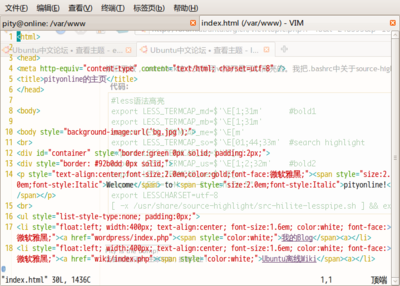 VIM.png