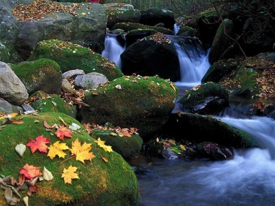 2007129113627478_2.jpg