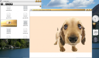 2010-03-20-205228.png